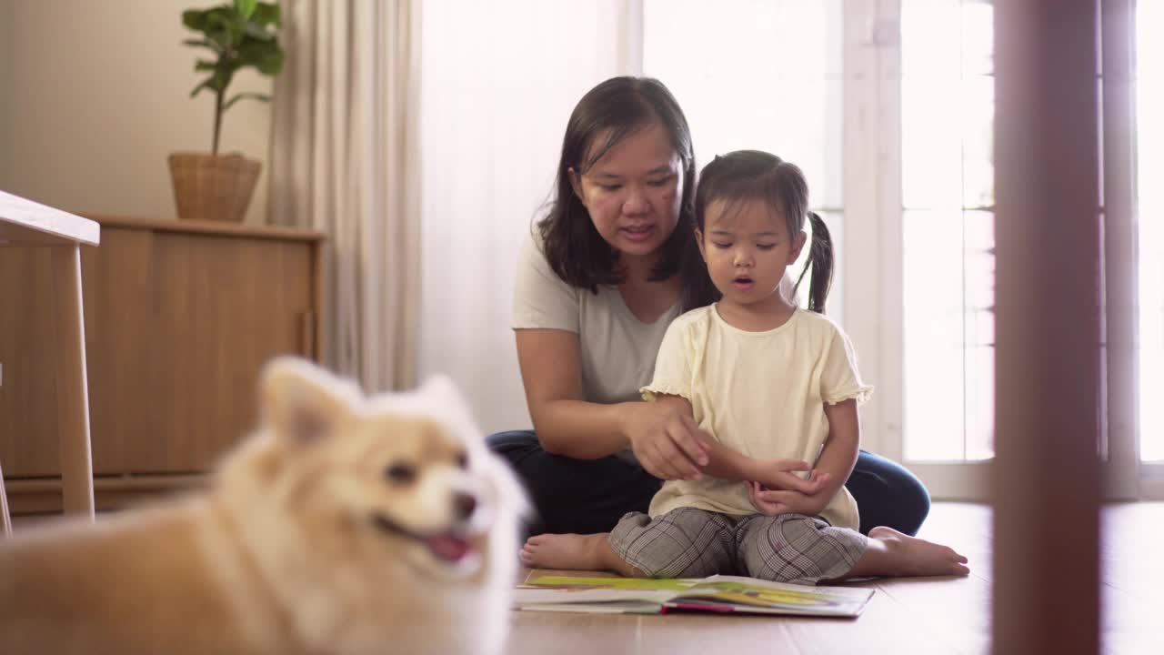 周末快乐的家庭时光在家里和狗狗一起看书的场景视频素材