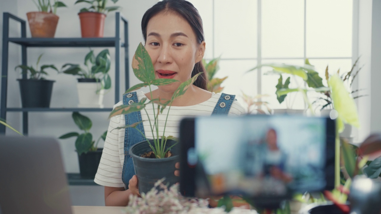 一名年轻的亚洲女性在树木商店用手提电脑接收订单，并在早上通过电话直播植物录制视频。视频素材