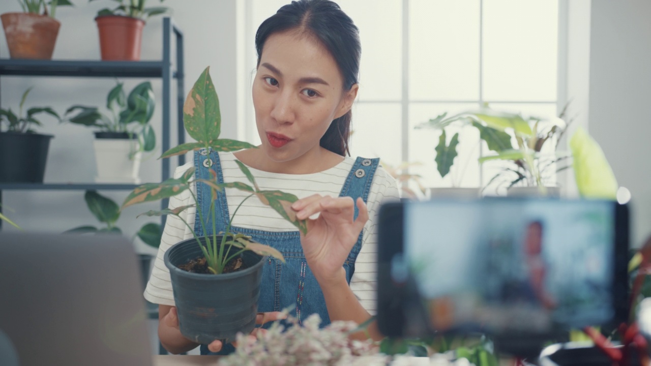 一名年轻的亚洲女性在树木商店用手提电脑接收订单，并在早上通过电话直播植物录制视频。视频素材