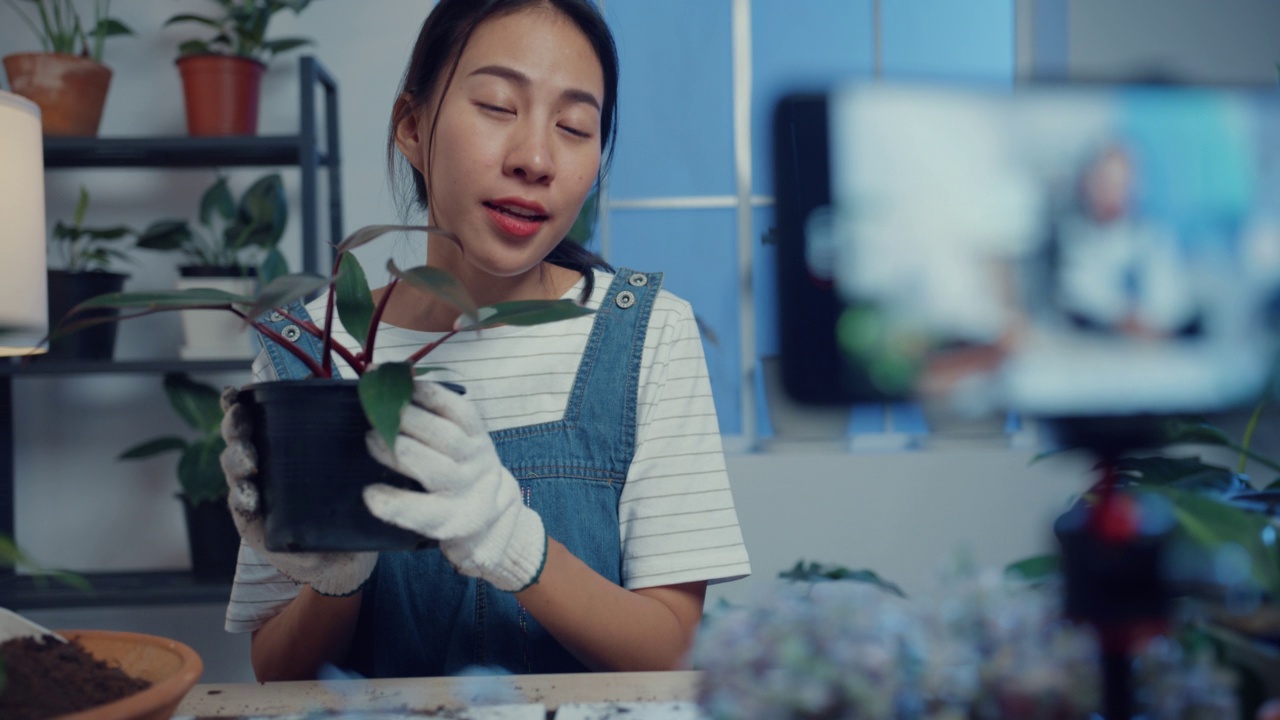 年轻的亚洲女子用电话接收购买订单，并显示植物录制视频直播夜间在树店。视频素材