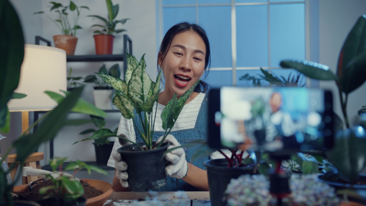 年轻的亚洲女子用电话接收购买订单，并显示植物录制视频直播夜间在树店。视频素材