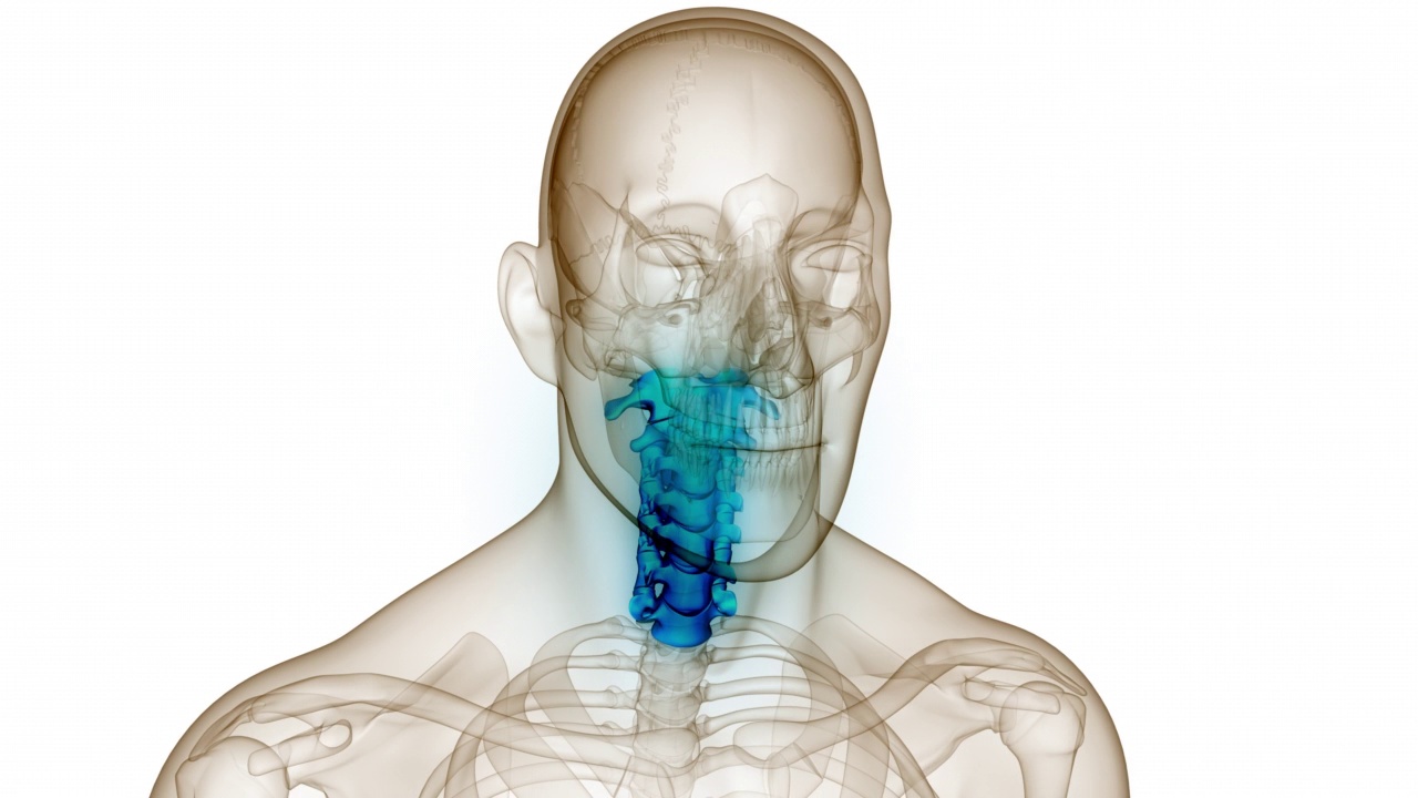 脊髓、脊柱、颈椎人体骨骼系统解剖动画概念视频素材
