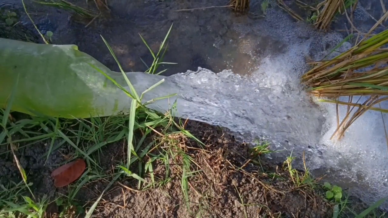 水流视频下载