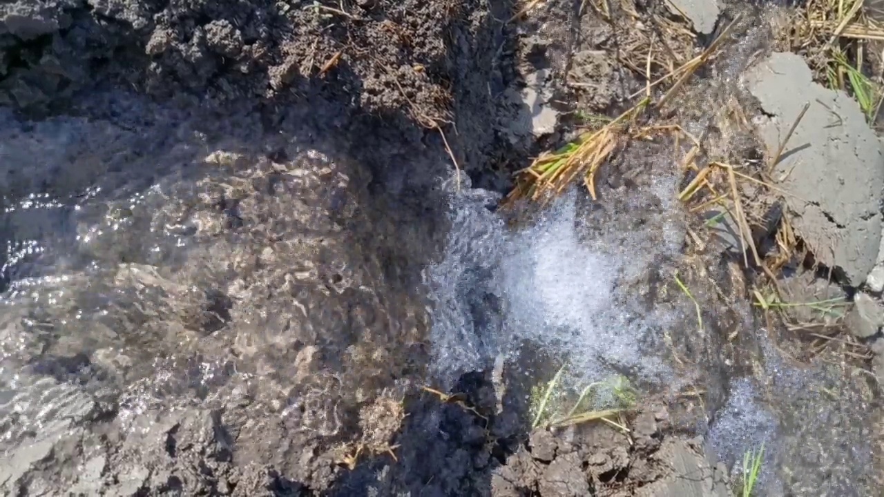 水流入田地视频下载