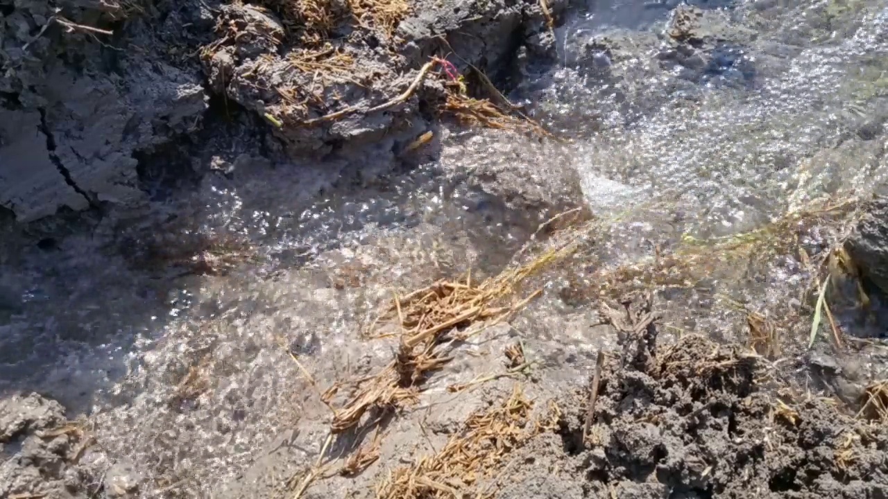 水流入田地视频下载