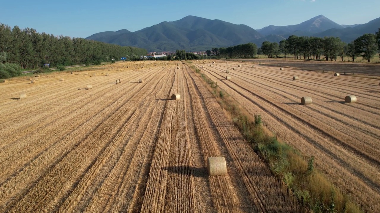 宽阔的农田上挂着圆形的稻草捆，无人机在夕阳下拍摄视频素材