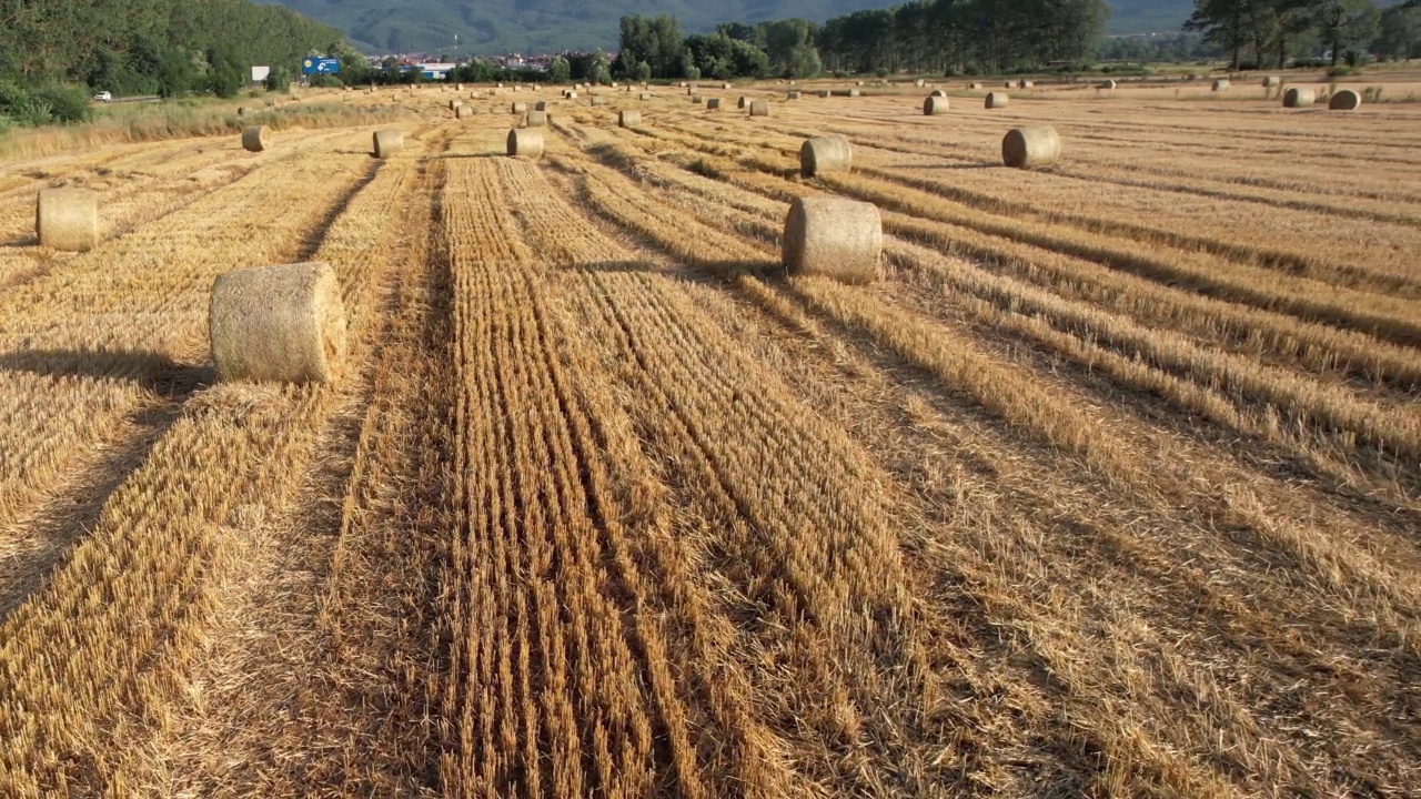 鸟瞰乡间金色的干草捆视频素材