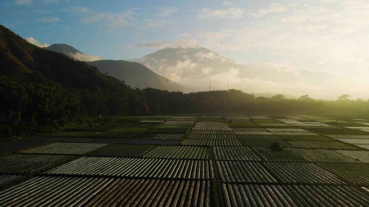 雾蒙蒙的村庄和稻田，龙目岛的背景是雄伟的林贾尼火山，位于森巴伦村。4 k鸟瞰图视频下载