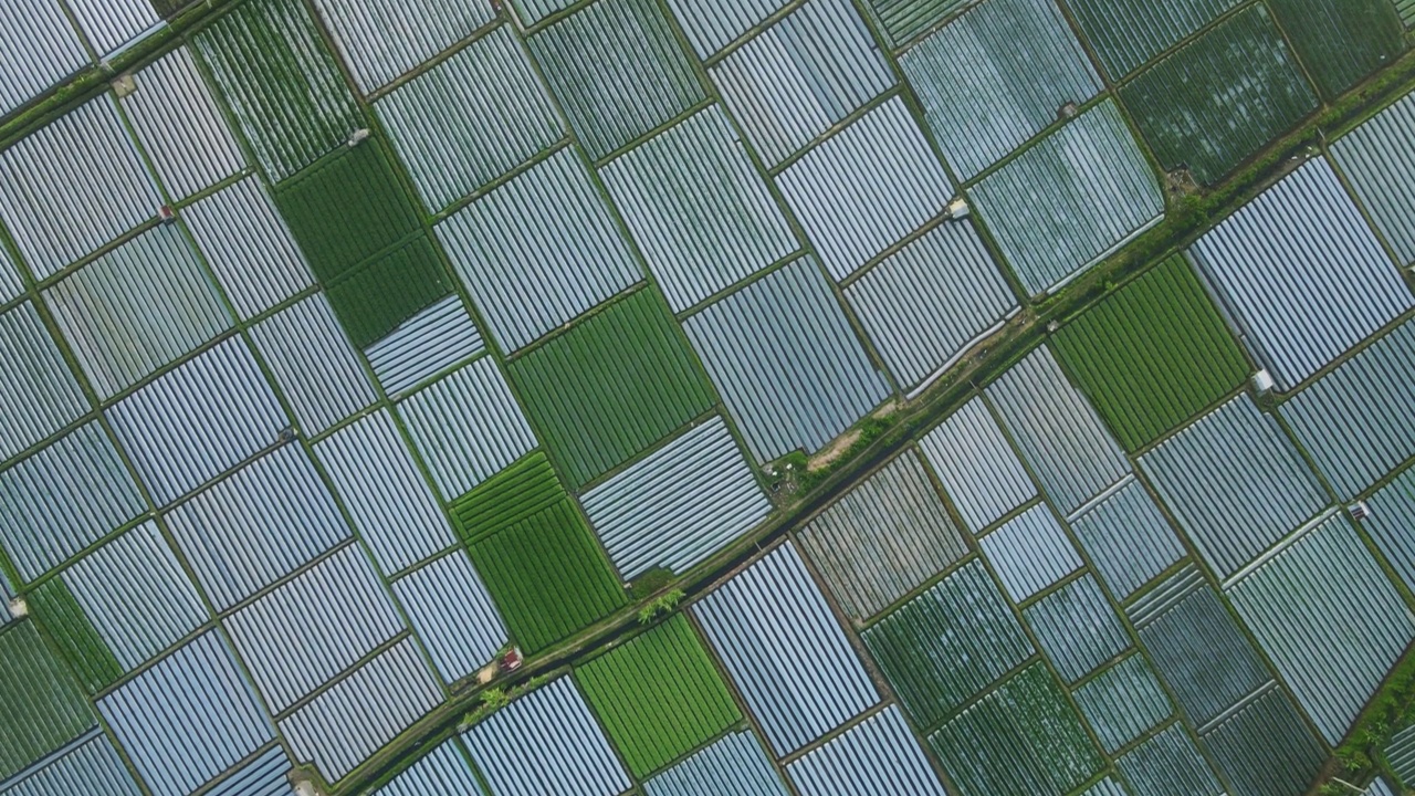 鸟瞰美丽的稻田格局，位置在龙目岛森巴伦村，背景纹理视频素材