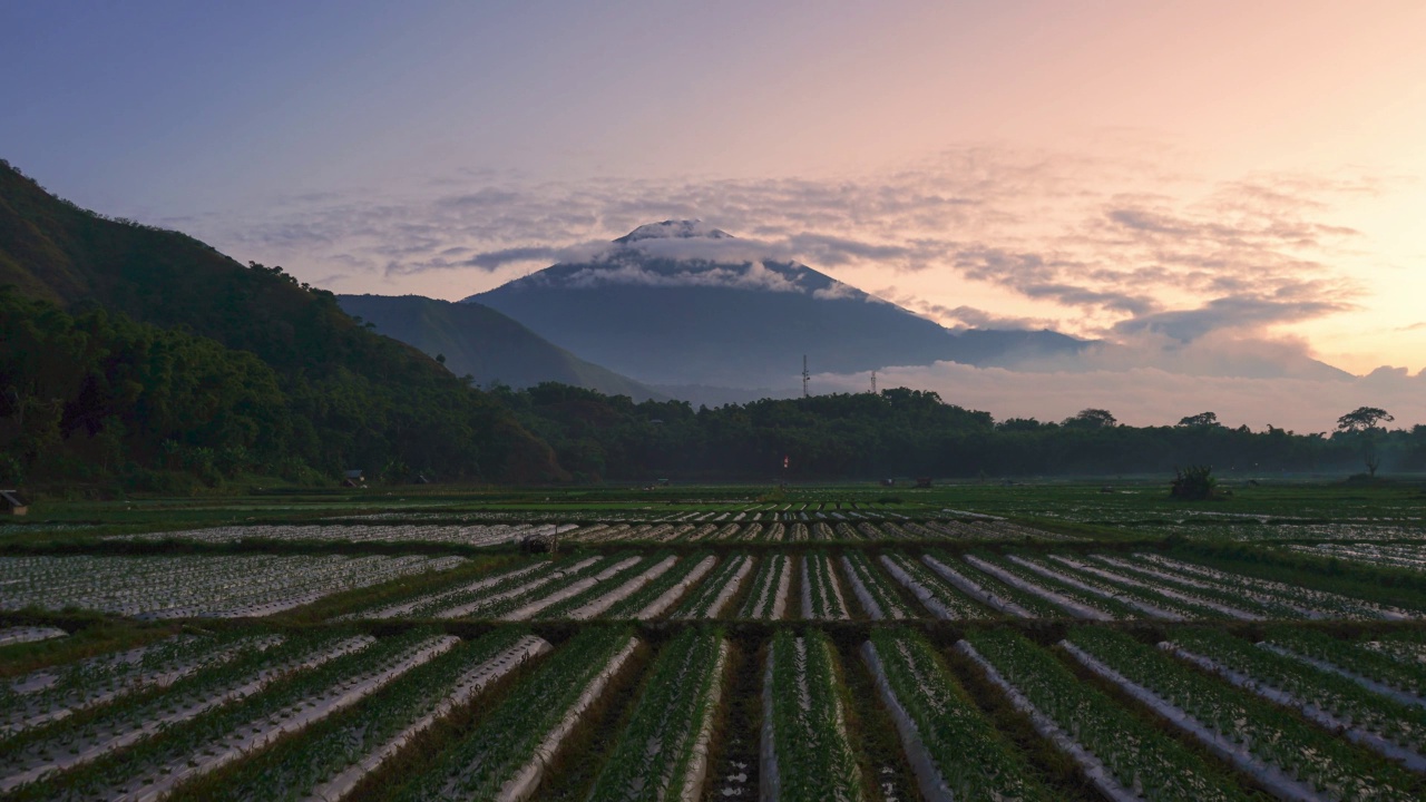 4k时间流逝的日落，稻田的格局和背景林贾尼山，位于Sembalun龙目山村，群山环绕视频素材