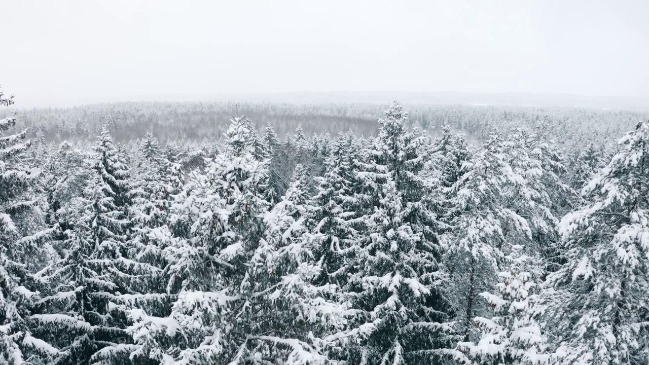 空中风景如画的冰冻森林，覆盖着冰雪的云杉和松树。俯视图flyover冬季林地在降雪。无人机飞过树梢。雪花飘落下来。飞越白茫茫的树林视频素材