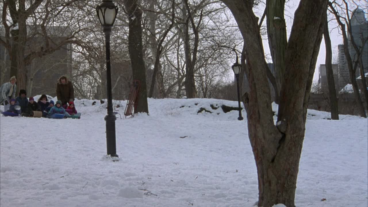 中等角度的六个孩子在冬天的中央公园雪山上滑雪。近背景看树，远背景看摩天大楼视频素材