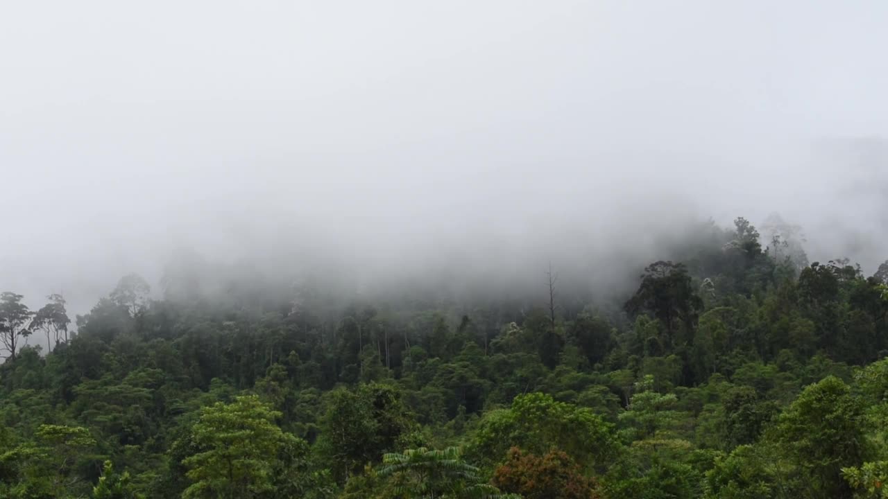 时间流逝移动的云在山上视频下载