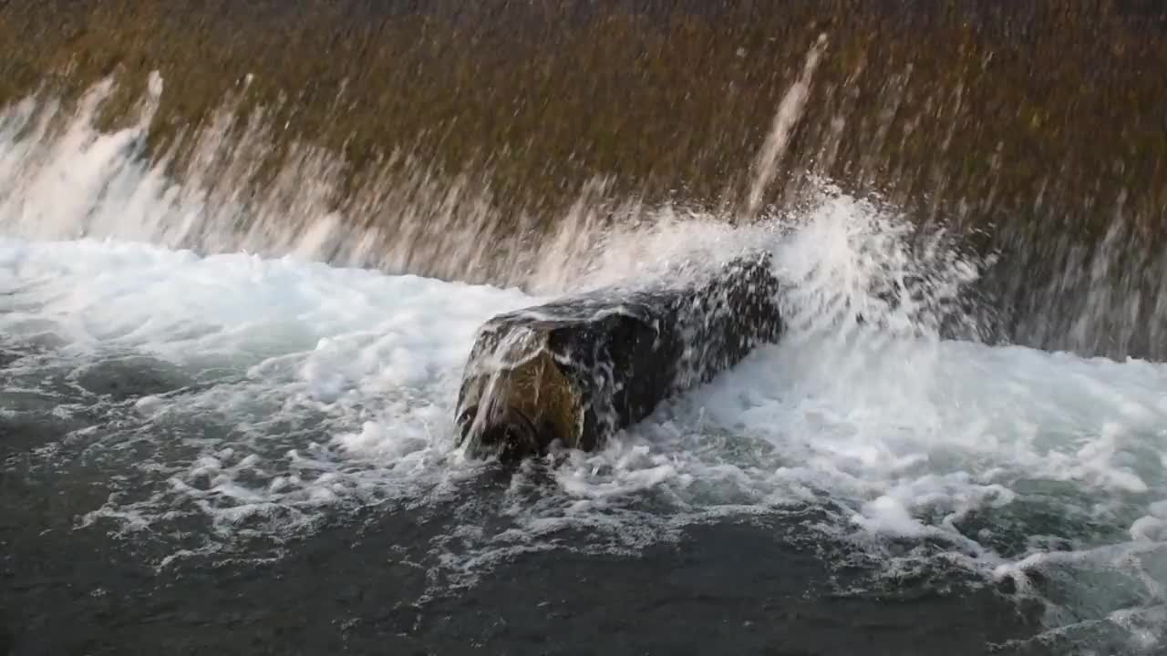 溅水坝视频素材