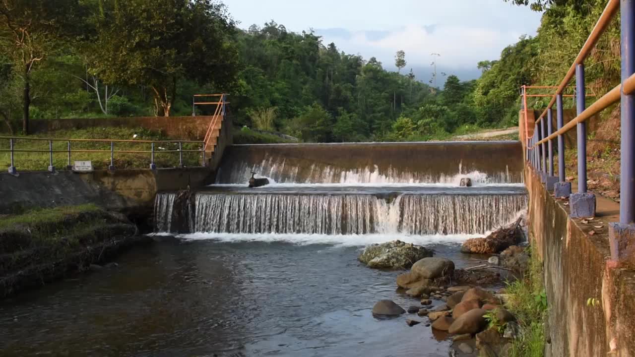 森林小坝视频素材