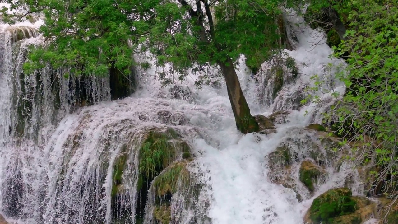 石板树勇敢地顶住湍急的水流，在瀑布中间汩汩冒泡，慢动作视频素材