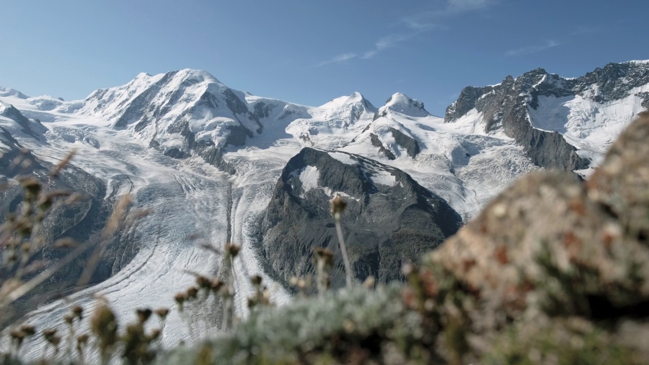 全景蒙特罗萨格莱彻与高山草地在前景视频素材