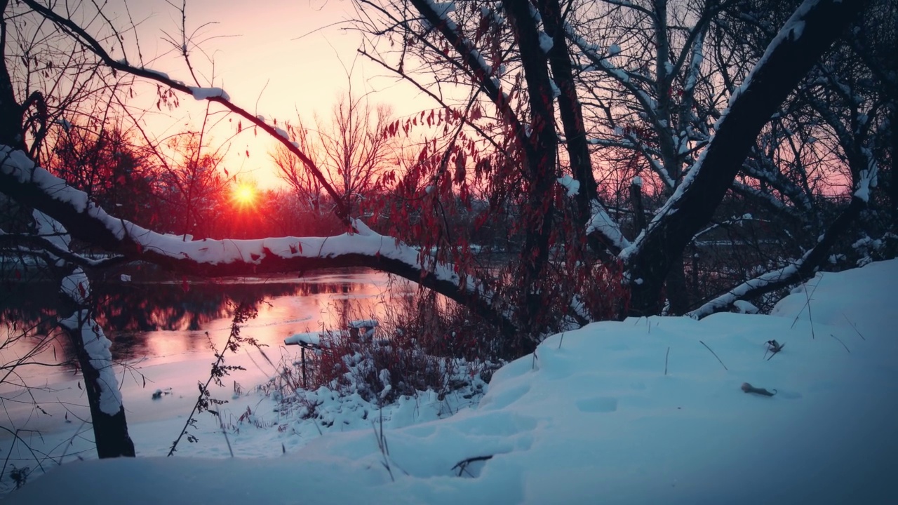 冬天的风景,日落。雪花的背景视频素材