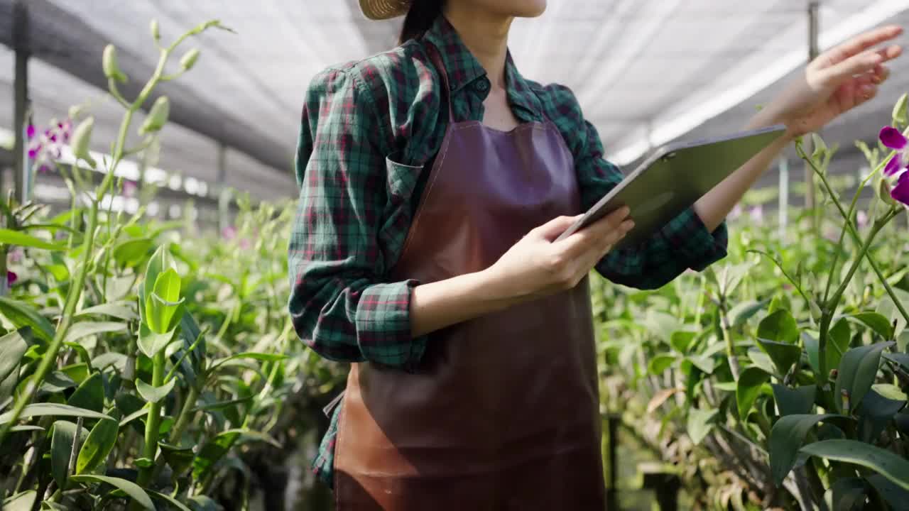 年轻的亚洲女园丁使用数字平板电脑在兰花农场工作视频素材