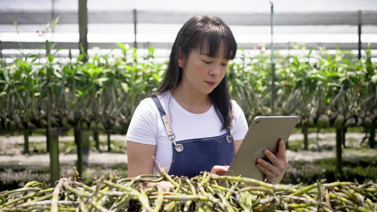 亚洲园丁使用数字平板电脑在观赏兰花农场工作视频素材