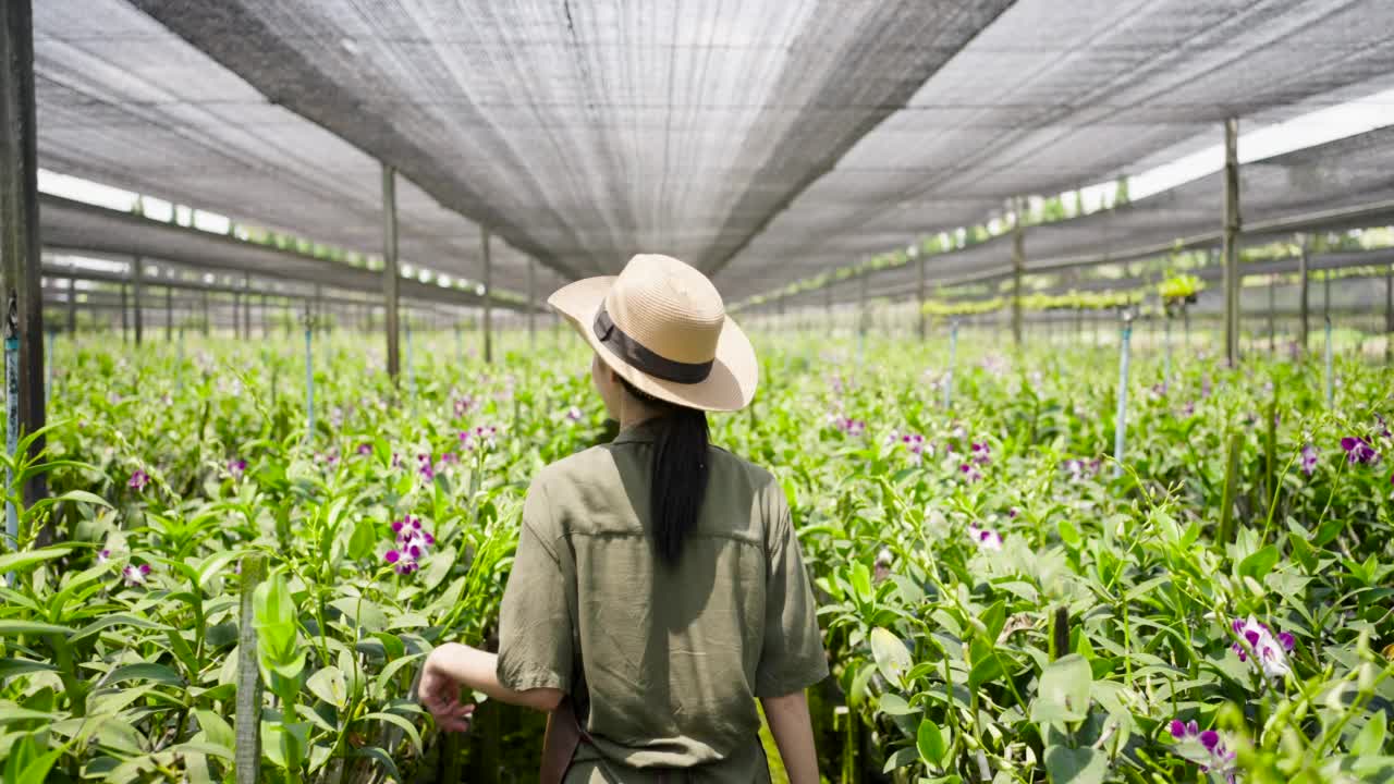 兰花农场里开朗的年轻亚洲园丁视频素材