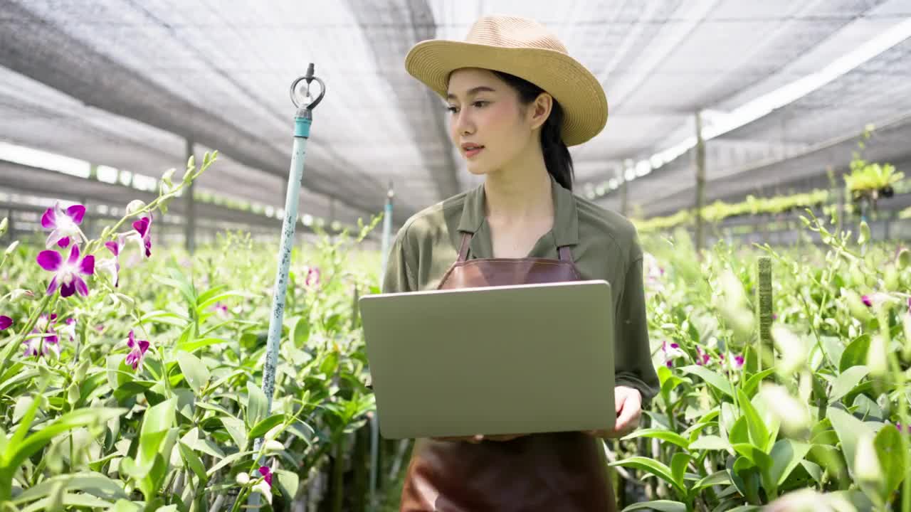 年轻的亚洲园丁使用笔记本电脑记录和控制花卉观赏兰花农场的质量视频素材