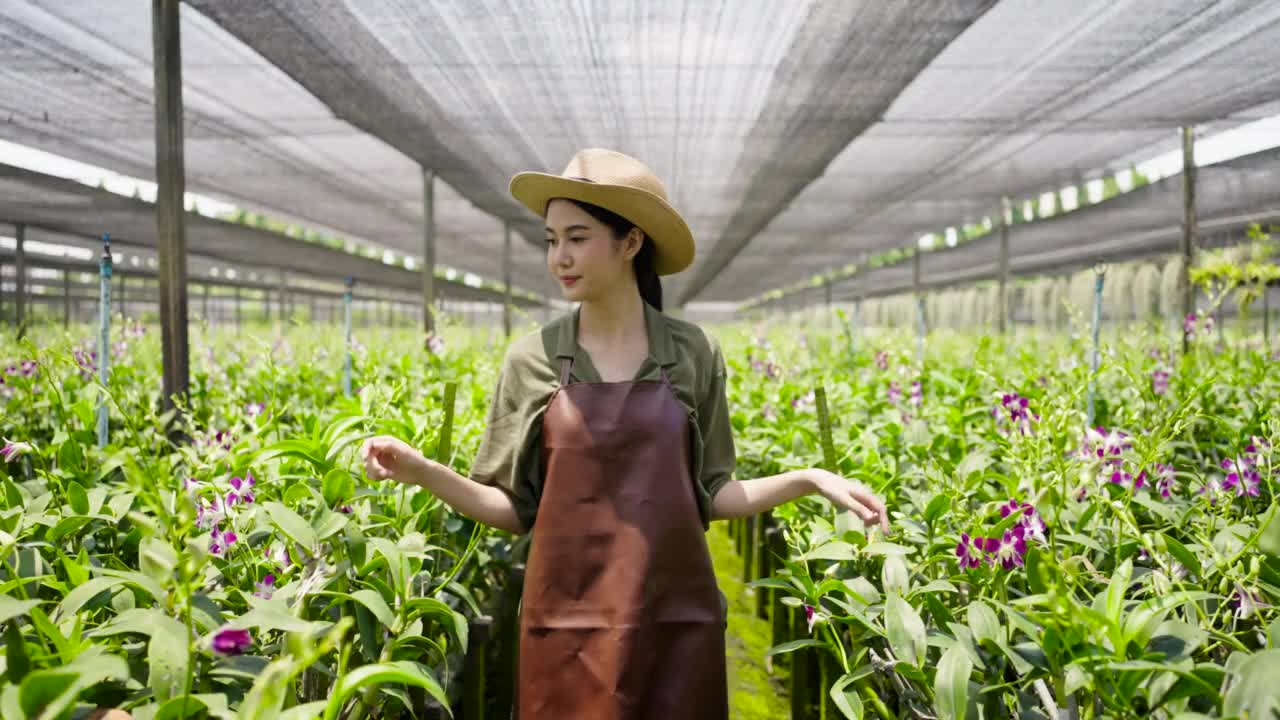 兰花农场里开朗的年轻亚洲园丁视频素材