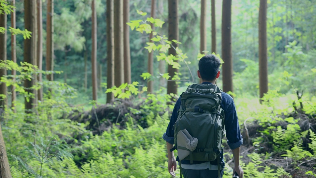 森林徒步旅行视频素材