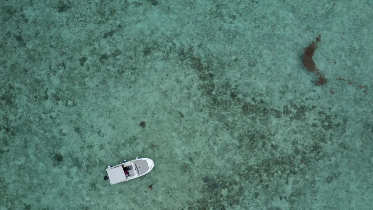 空中顶部向上拍摄漂浮在海上的白色航海船-大溪地，法属波利尼西亚视频素材