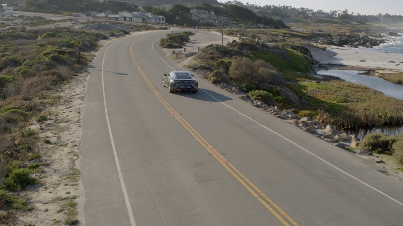 鸟类飞过汽车移动的道路上海浪海浪-德尔蒙特森林，加利福尼亚州视频素材