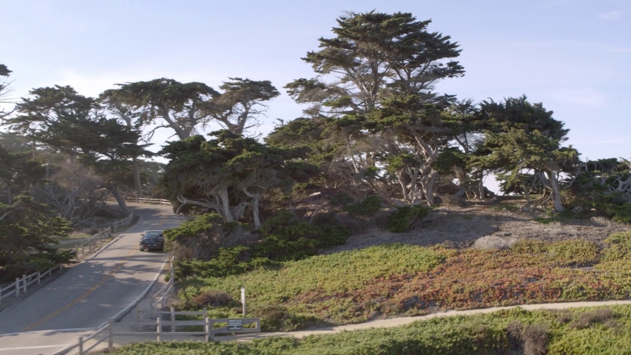 空中:平移拍摄的汽车移动在道路上的围栏，无人机飞越绿色景观-德尔蒙特森林，加州视频素材