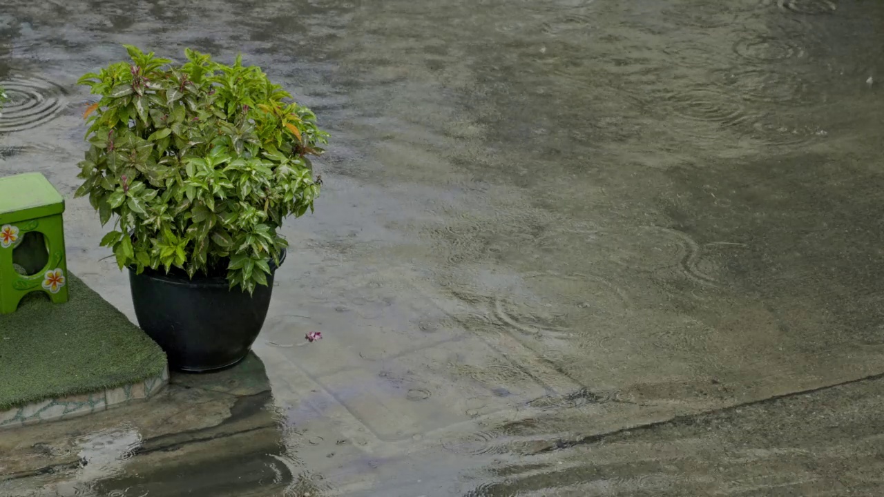 大雨淹没了城市的街道。让它成为生活中的障碍。排水环境问题。洪水期间的艰难生活视频素材