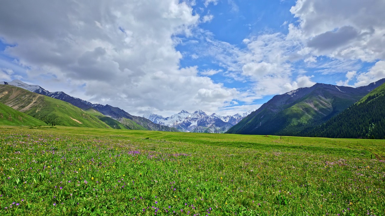 新疆的绿色草原和山地景观视频素材