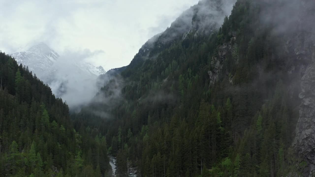 无人机镜头从森林山谷上空飞过视频素材