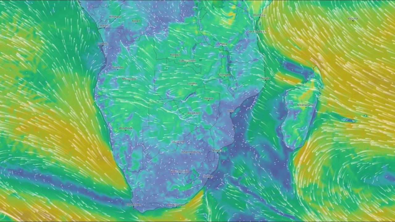 非洲的风流视频素材