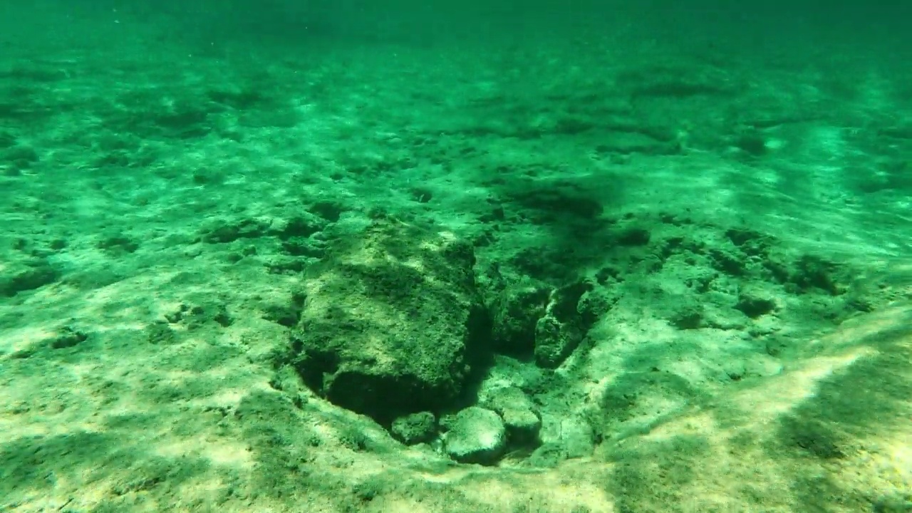 夏天在海里浮潜。可穿戴式相机观点视频素材