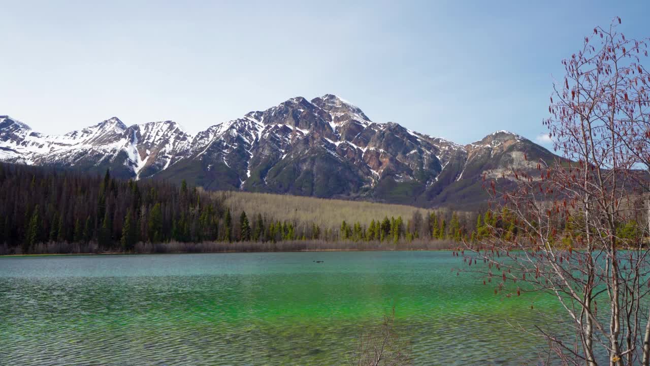 帕特丽夏湖。碧玉国家公园景观。加拿大落基山脉视频素材