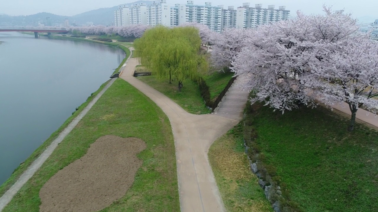 韩国全罗南道顺川市丰德区，东川溪流和柳树旁的长廊视频素材