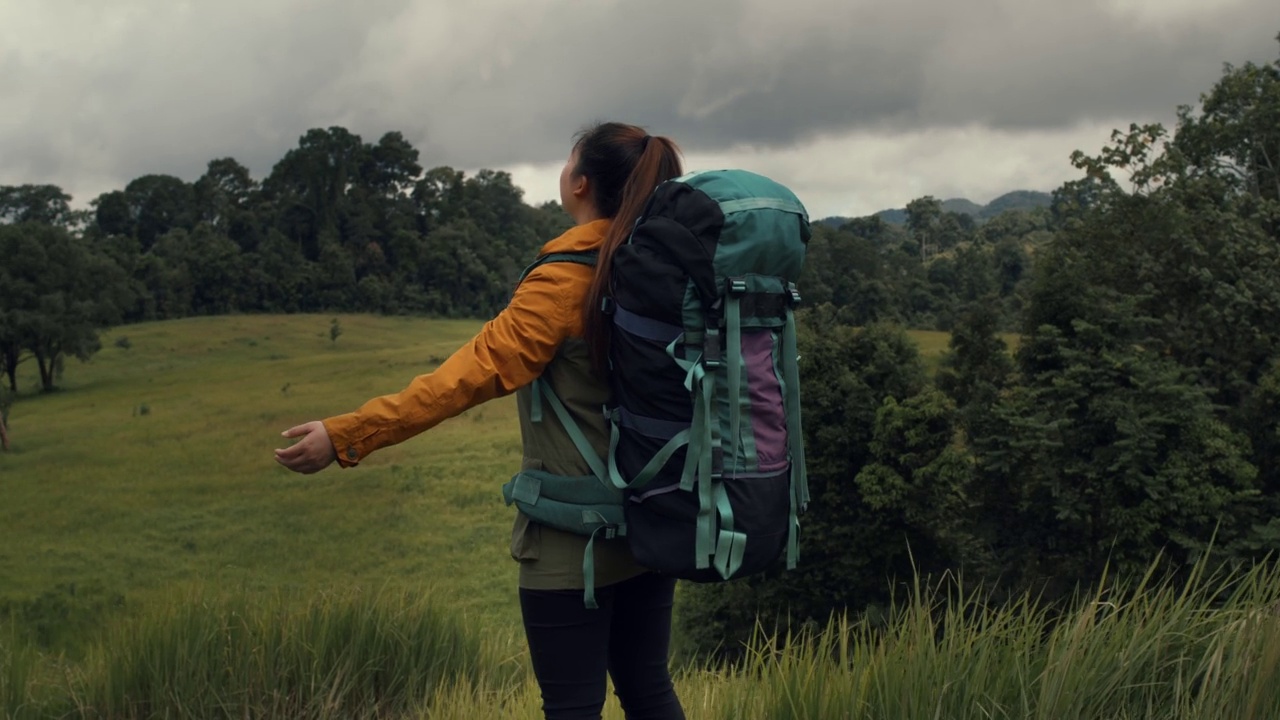 泰国森林徒步旅行的年轻女子。背着背包的活跃健康的女人。女性旅行者与漫步森林后视图，休闲，生物旅游，徒步旅行。她是快乐的。视频下载