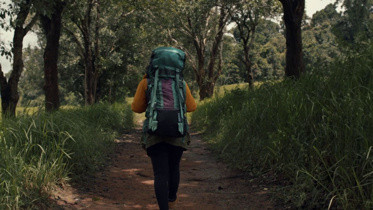 泰国森林徒步旅行的年轻女子。背着背包的活跃健康的女人。女性旅行者与漫步森林后视图，休闲，生物旅游，徒步旅行视频下载