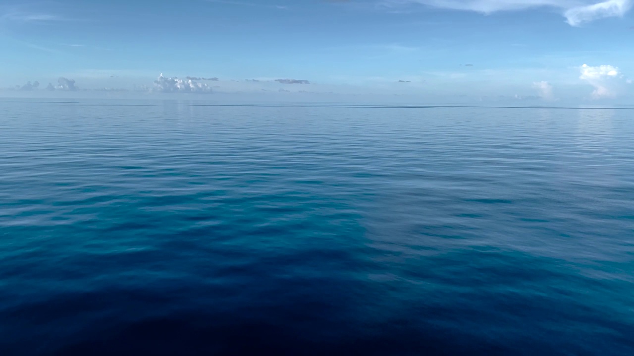 平滑的开放海洋场景，鸟儿在旁边飞行视频素材