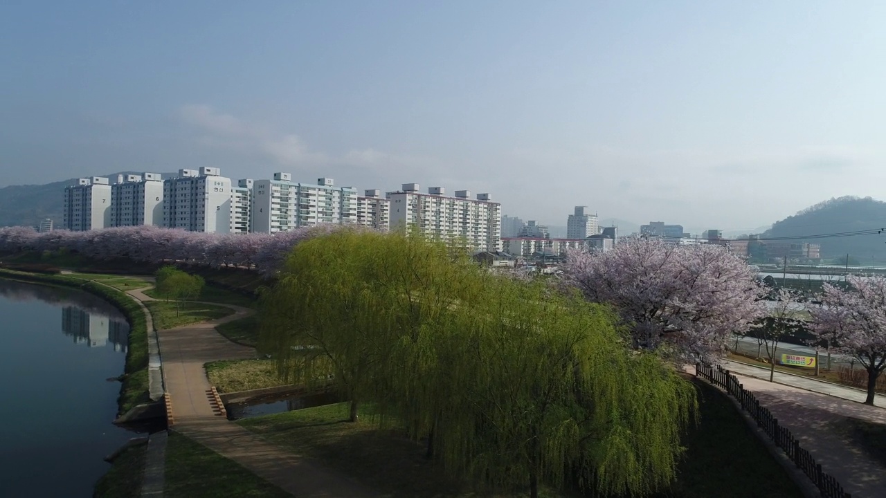 韩国全罗南道顺川市丰德区东川溪附近的柳树和整个村庄视频素材