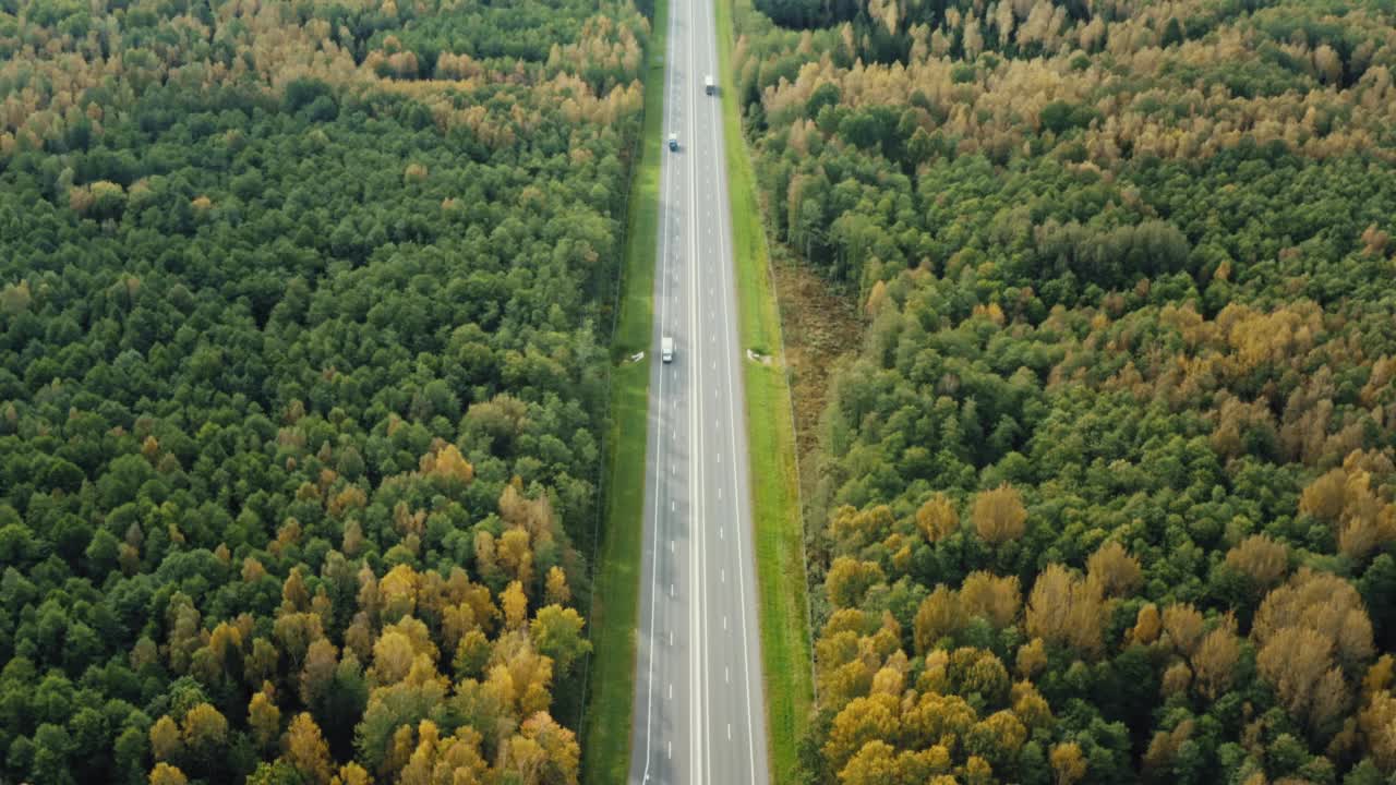 无人机在秋天的森林里拍摄了沿着笔直的乡村公路行驶的汽车。秋天的季节色彩斑斓，林地五彩缤纷。在阳光明媚的日子里，飞越公路上的车辆，绿色和黄色的树林树梢视频素材