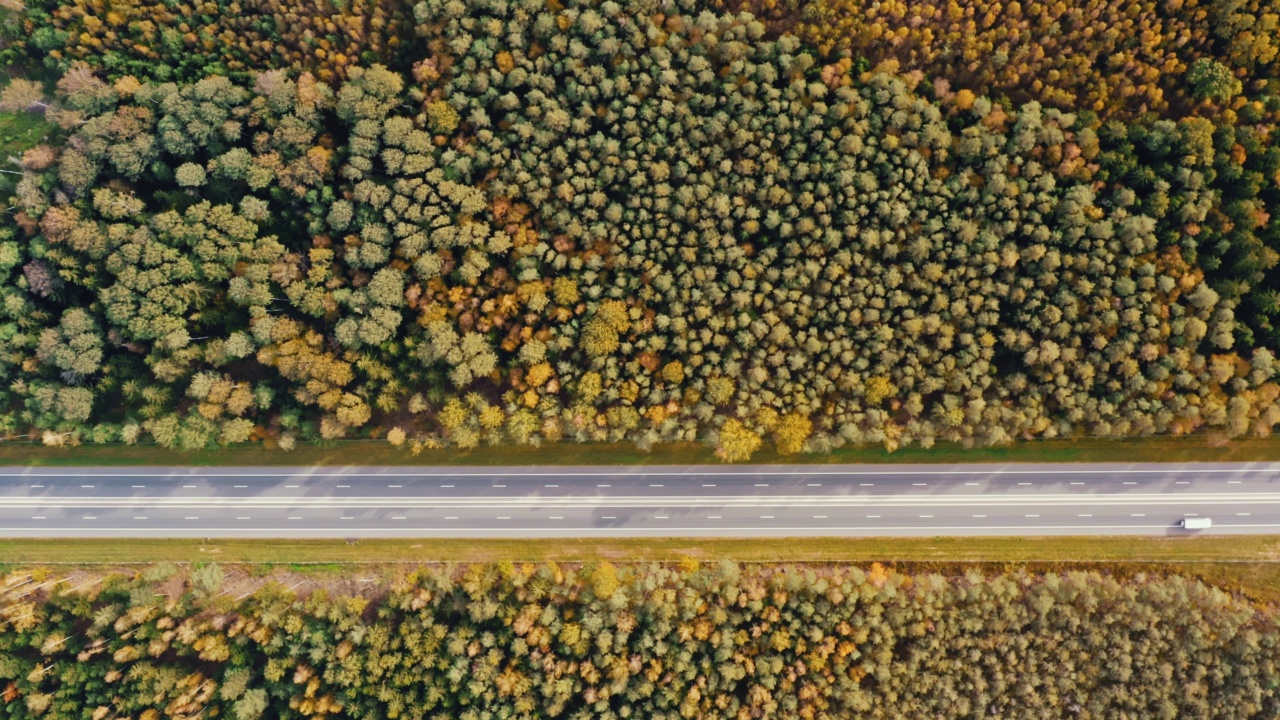 在秋天的森林里，无人机拍摄了沿着笔直的乡村道路行驶的汽车。秋天的季节色彩斑斓，林地五彩缤纷。在阳光明媚的日子里，飞越公路上的车辆，绿色和黄色的树林树梢视频素材