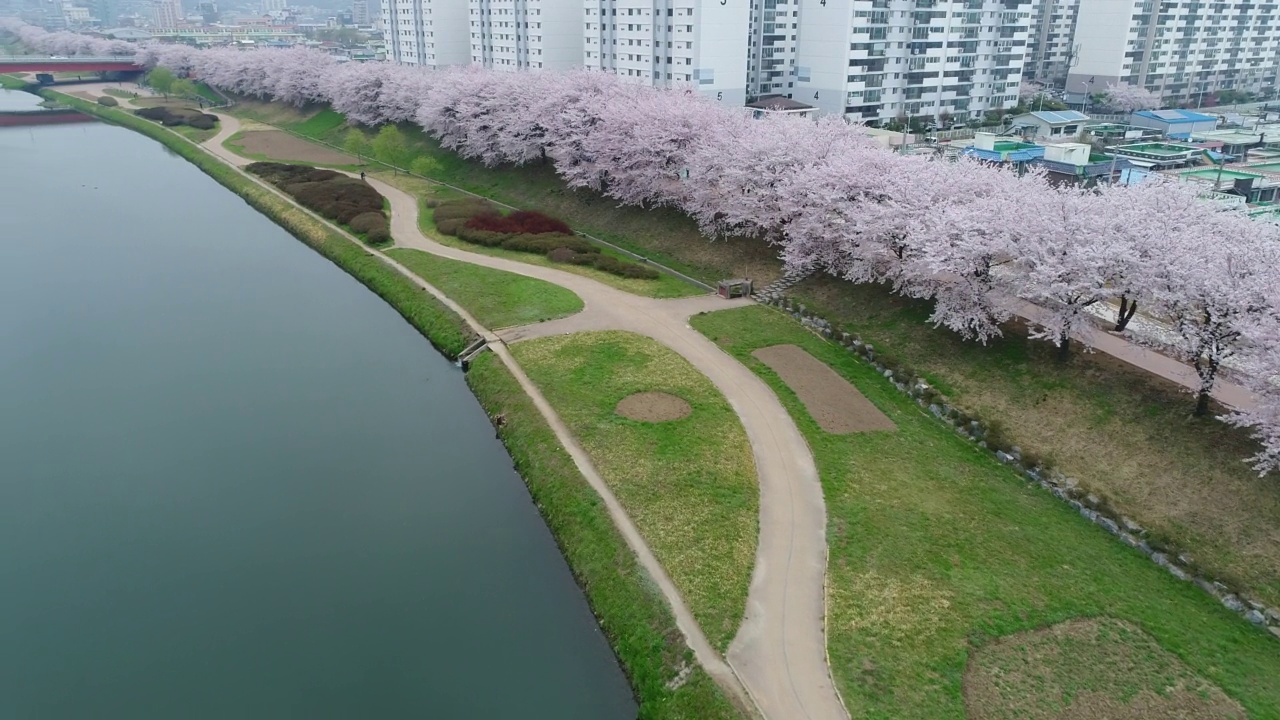 韩国全罗南道顺川市丰德区东川附近的长廊视频素材