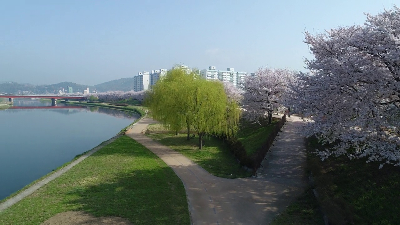 韩国全罗南道顺川市丰德区东川溪附近的柳树和整个村庄视频素材