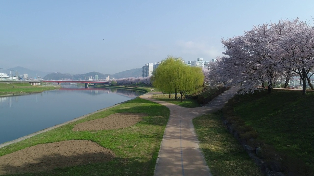 韩国全罗南道顺川市丰德区，东川溪流和柳树旁的长廊视频素材