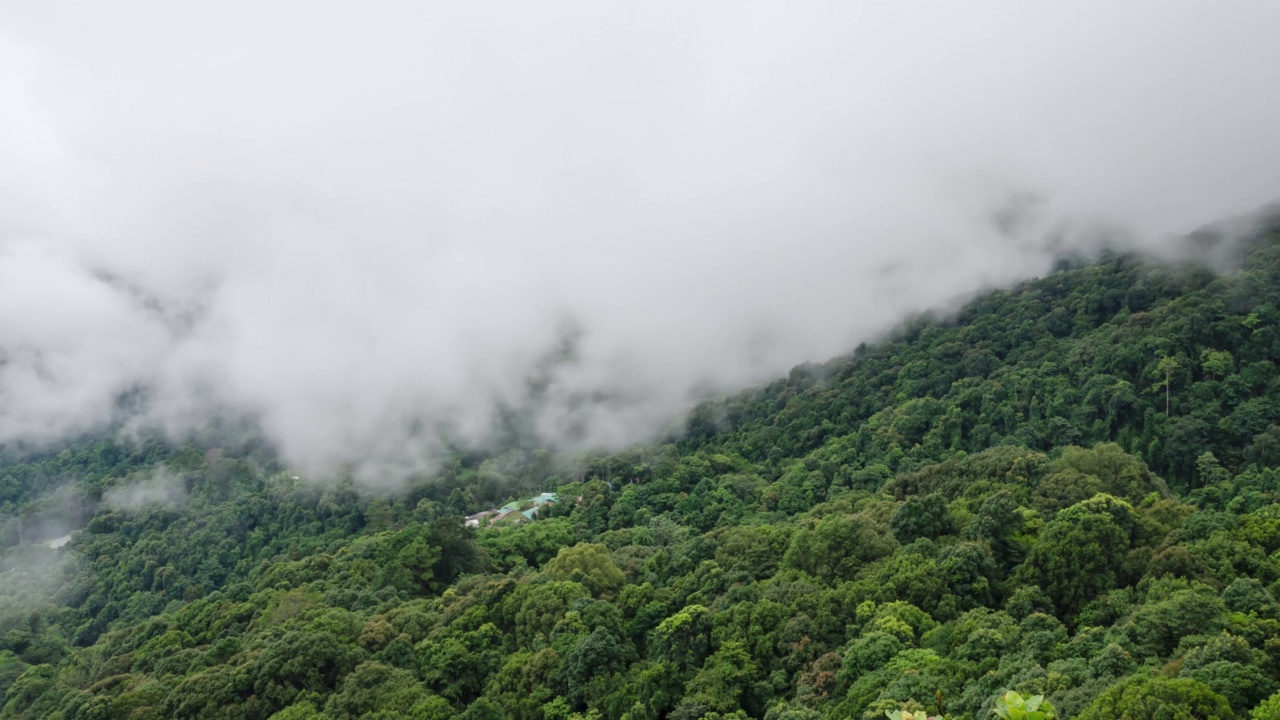 冬季时随森林在山间飘动的自然云雾视频素材