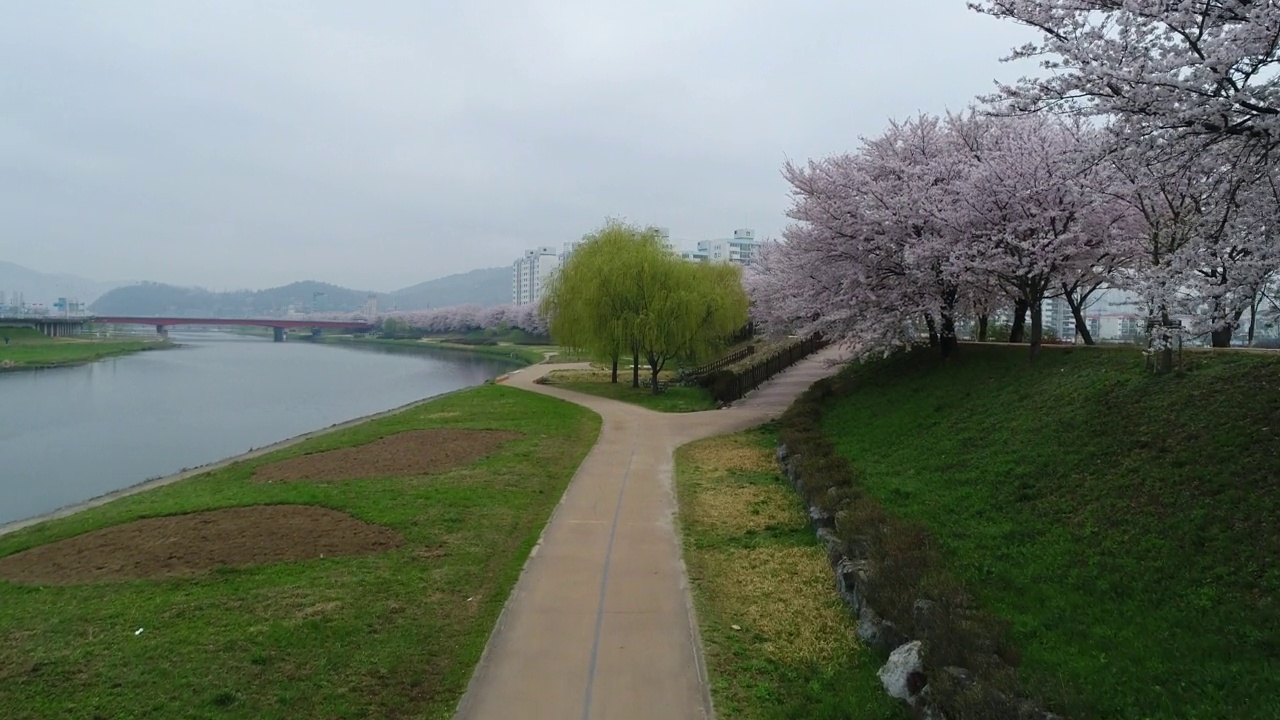 韩国全罗南道顺川市丰德区，东川溪流和柳树旁的长廊视频素材