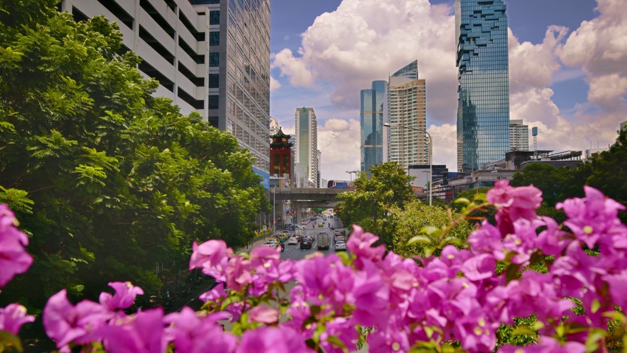 花和城市。生态系统概念视频素材